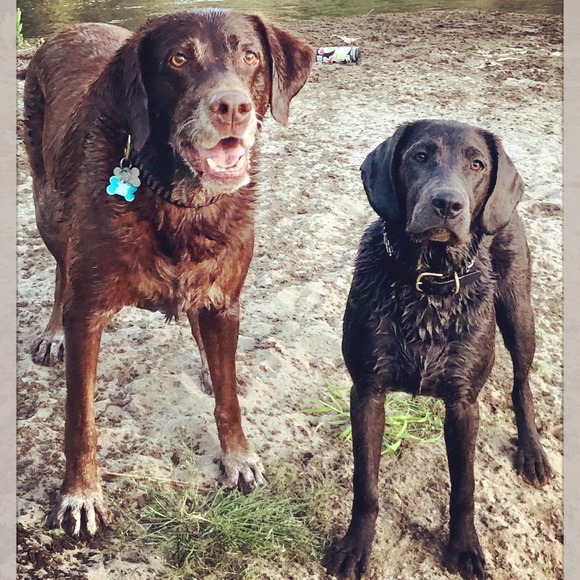 Meet your Posher, Vanessa - Picture 5 of 6